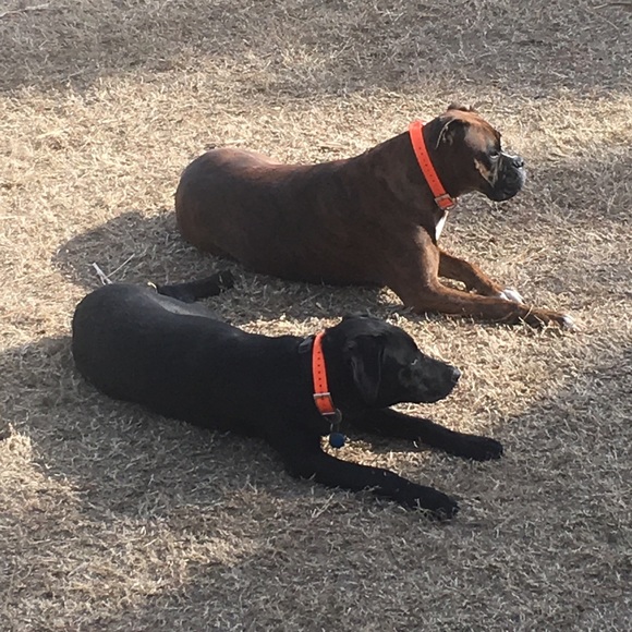 Meet your buyer/seller/trader - Picture 5 of 6